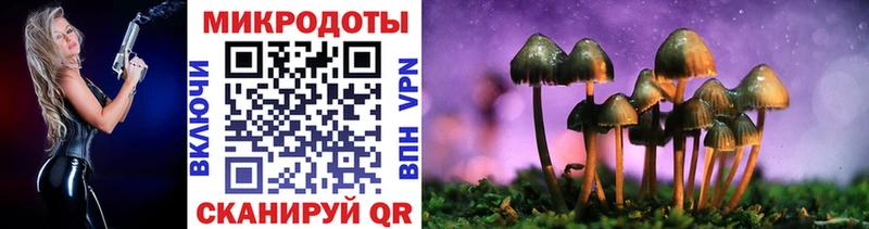 Галлюциногенные грибы GOLDEN TEACHER Октябрьский